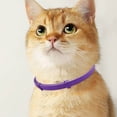 thumbnail image 4 of Pet Comfort Calming Solution - Dogs/Cats, Adjustable Design, TPR Material, 38cm, Soothes Anxiety, Indoor/Outdoor Use, 4 of 5