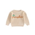 thumbnail image 1 of FOCUSNORM Chandails d'Halloween pour Tout-Petits Citrouille Brodée Lettre Manches Longues Col Rond Tricot Côtelé, 1 of 9