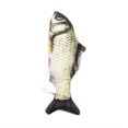 thumbnail image 2 of Mint Fish-shaped Cat Chewing Toys Colorful Lifelike Simulation Model Interactive Props For Pets Training Exerciser (small 20cm), 2 of 7