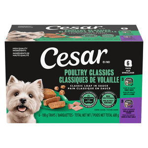 CESAR Classic Loaf in Sauce Entrées Wet Dog Food 6x100g Variety Pack (Grilled Chicken Flavour / Turkey Recipe)