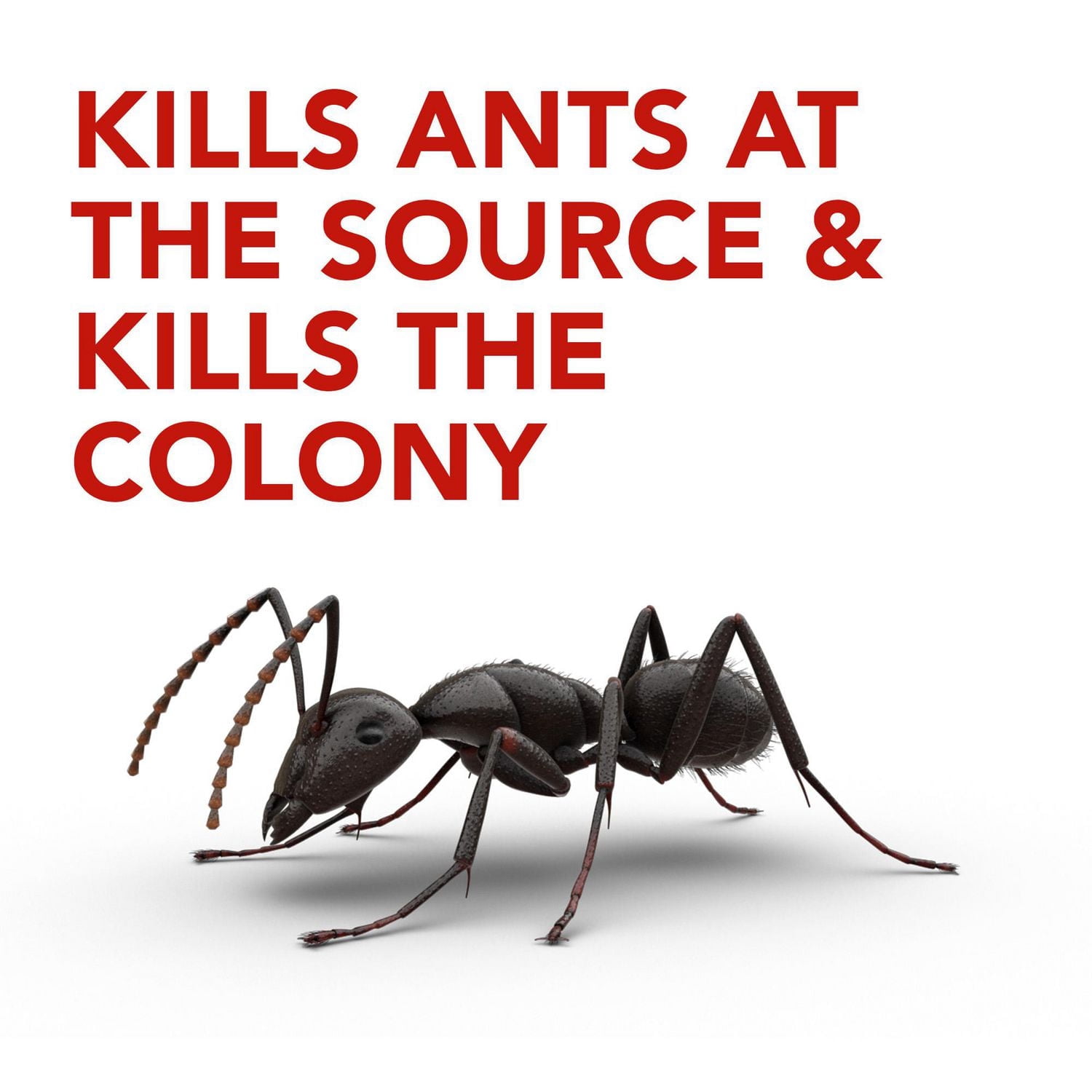 Raid Ant Killer Baits and Trap, Kills the Queen and Colony, Child Resistant, 4 Count