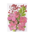 thumbnail image 3 of Iumwxz Colorful Natural Dried Flowers And Embossed Decorative Set home decor Multicolor Plastic Holiday Travel, 3 of 5
