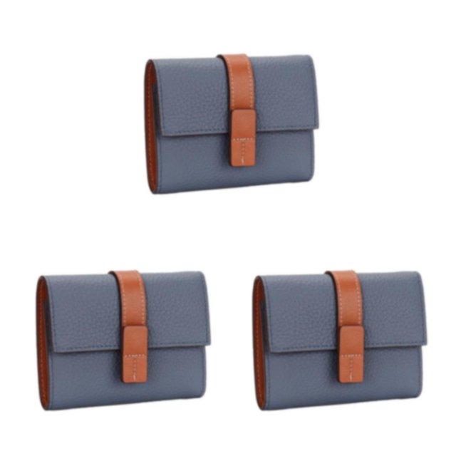 pitrice Leather Women Purse Rectangular Trifold for Zipper Hasp Stylish Card Holder Photo Folder Wallet Notecase Birthday Gift Blue 3Set