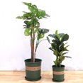 thumbnail image 2 of Plastic Gallon Flowerpot Flower Planter Basket Nursery Pot Balcony Decoration, 2 of 8