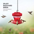 thumbnail image 2 of Hummingbird Feeders Leak-Proof Wide Mouth for Easy Filling Easy Cleaning, 2 of 8