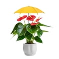thumbnail image 4 of YWIYIUD 2PCS Portable Outdoor PlantUmbrella Reusable and Practical Mini Parasol Umbrella Suitable for Patio Balcony Courtyard Backyard Porch Roof Greenhouse Farm and Flower, 4 of 8