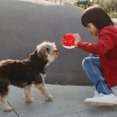 thumbnail image 4 of OULII Jouet pour Chien Tête Ronde Canard Qui Couine Latex Rouge pour Jouer 1Pcs 2.76*2.56*2.56 Po, 4 of 8
