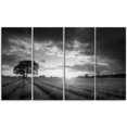 thumbnail image 2 of Vibrant Black White Lavender Field - Extra Large Landscape Canvas Art, 2 of 3