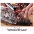 thumbnail image 5 of Apmemiss Outil de Grattage d'Écailles de Poisson, Couteau à Écailles de Poisson Multifonction en Acier Inoxydable pour le Nettoyage du Poisson, Détartreur pour Poisson, Détartreur à Dents de Scie pour Maison, Marché, Restaurant, 5 of 5