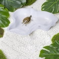 thumbnail image 4 of Plastic Reptile Turtle Water Bath Dish Built In Ramp Gecko Amphibian Feeding Pool, 4 of 4