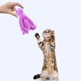 thumbnail image 4 of Heliisoer Toy Plush Toy Wholesale Interactive Pet Toys, 4 of 4