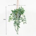 thumbnail image 2 of Lerman Decor hanging plant, 2 of 4