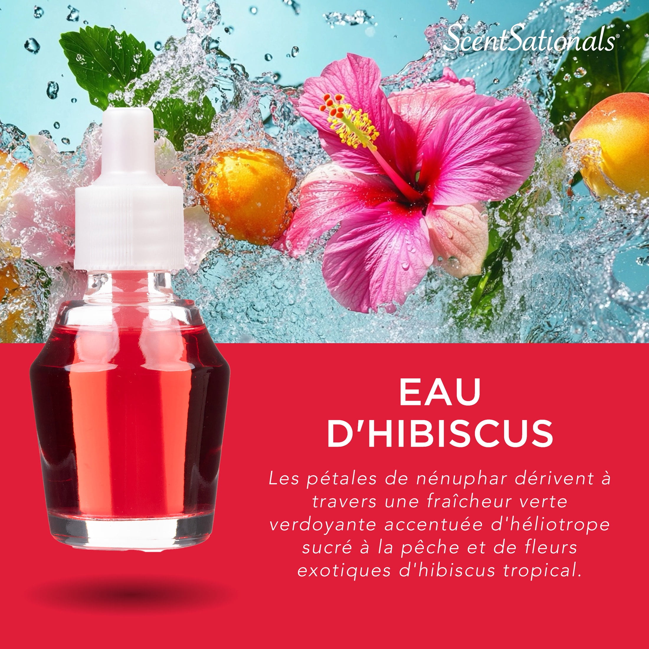 Scentsationals Fragrance Oil - Hibiscus Waters