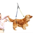 thumbnail image 2 of Laisse de Toilettage pour Animaux de Compagnie, Crochet à Ressort Portable Animaux de Compagnie Soins de Beauté Outils Chien Toilettage Harnais de Toilettage pour Animaux de Compagnie Table de Toilettage pour Animaux de Compagnie pour Chien, 2 of 8