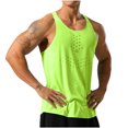 thumbnail image 1 of Timegard Mens Shirts Round Neck Sleeveless Breathable Workout Running Tee Shirts Casual Slim Tank Top, 1 of 4