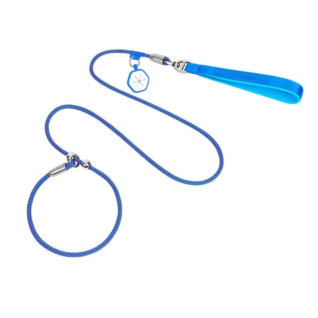 Dog Training Leash with P Ring Control for Obedience and Walking Reflective Pet Collar