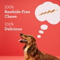 thumbnail image 4 of DreamBone Grill Masters T-Bones With Real Chicken, Small, Rawhide-Free Chews, For All Dogs 1.8lb, 4 of 6