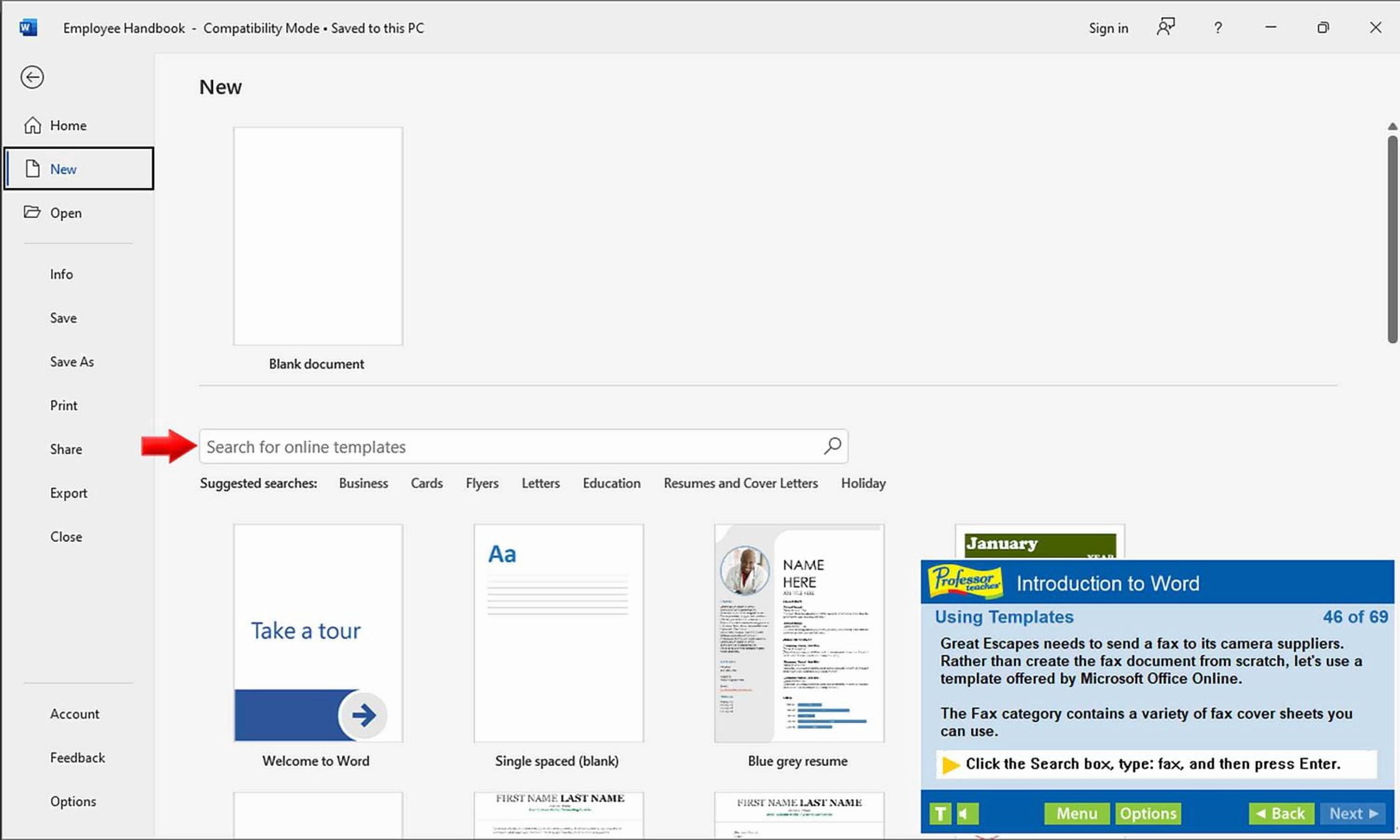 Professor Teaches Office 2021 & Windows 11 with Skill Assessment [Digital Code]
