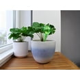 thumbnail image 2 of Expert Gardener Plant Watering Globe - Automatic Plant Watering Bulbs for Indoor & Outdoor, Durable Plastic, Lightweight, 200ml Capacity, 2 of 5