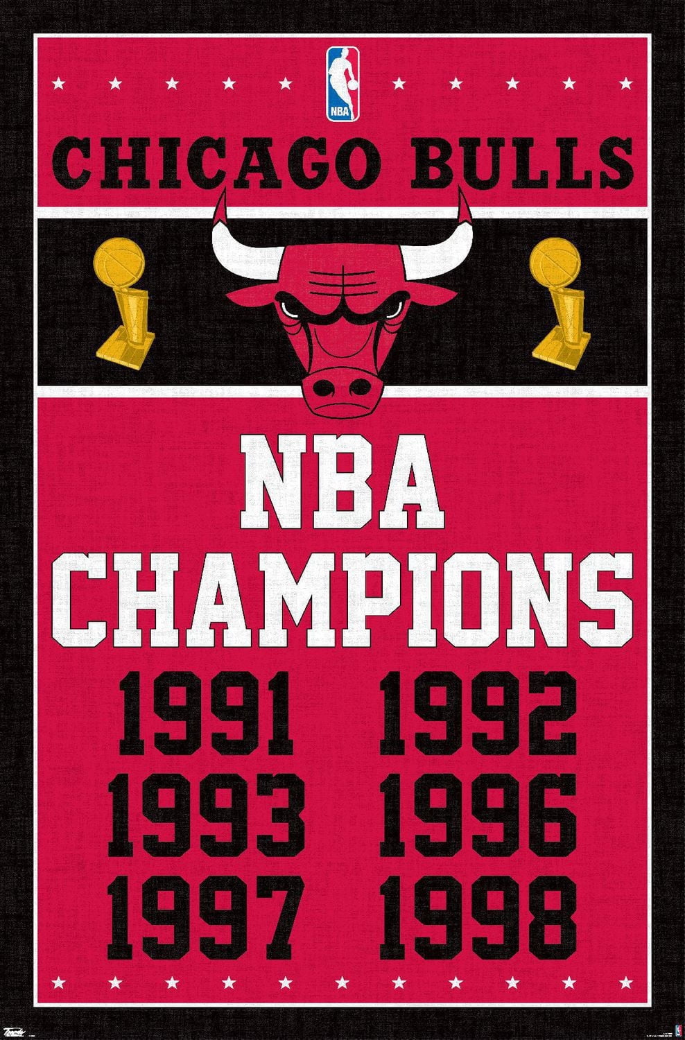 NBA Chicago Bulls - Champions 13