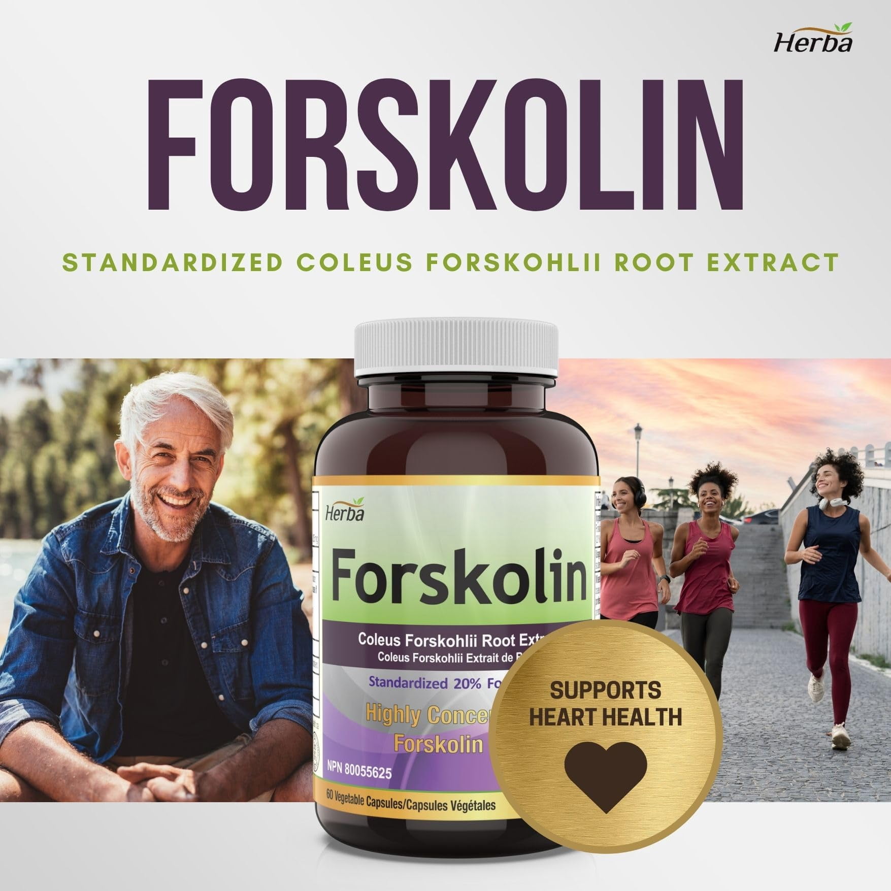 Herba Forskolin Extract Supplement – 60 Vegetable Capsules