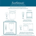 thumbnail image 4 of Ampoules réchauffeurs Accent 15 watt - ScentSationals, 4 of 4