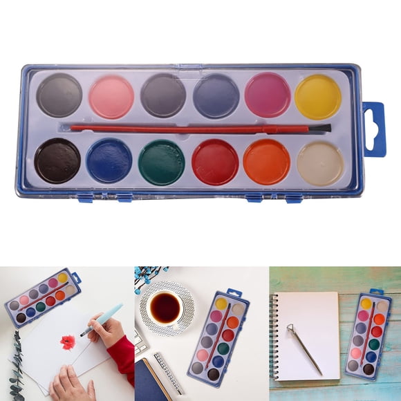 Art Paint Set 12 Colors Large Square Painting Supplies for Artists Beginners and Hobbyists