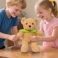 thumbnail image 4 of EGNMCR Home Decor, Room Decor, Wall Decor Cute Sweater Bear p olyester, 4 of 7