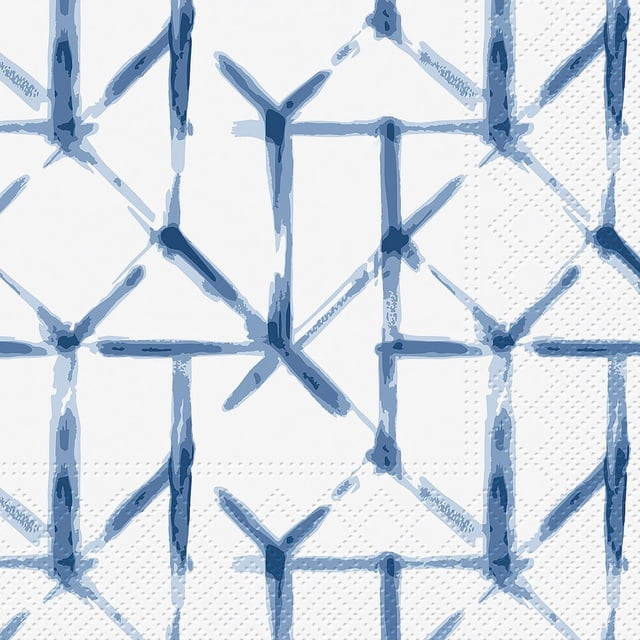 Set of 2 Luncheon Watercolor Grid Napkins 20 Pack