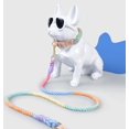 thumbnail image 3 of Dog Rope with Soft Leather Handle Thick Dog Lead Leash for Large Medium Small Dogs (Mint Green, 120cm*1.2cm), 3 of 7