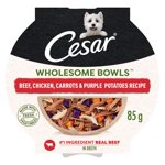 Cesar Wholesome Bols Boeuf, poulet, carottes & Pommes de terre violettes Aliments pour chiens mouillés adultes