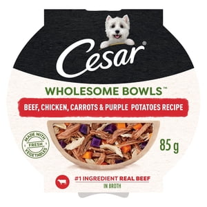 Cesar Wholesome Bowls Beef, Chicken, Carrots & Purple Potato Adult Wet Dog Food