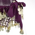 thumbnail image 4 of ziyahi Belly Dance Waist Chain Dark Purple, 4 of 9