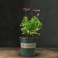 thumbnail image 3 of GROWTH TANK Flower seed Flowerpot Nursery Pot Flower Plant Pots Plant Container Gallon Basin M, 3 of 5