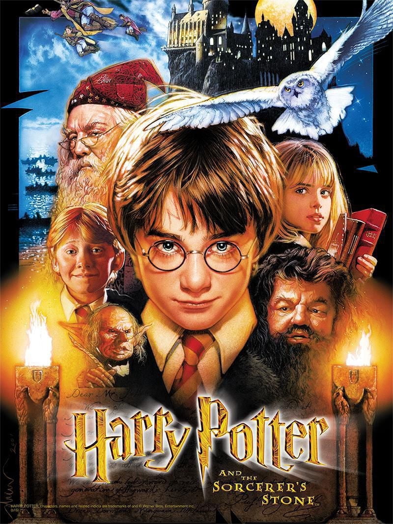 Harry Potter and the Sorcerer's Stone Puzzle