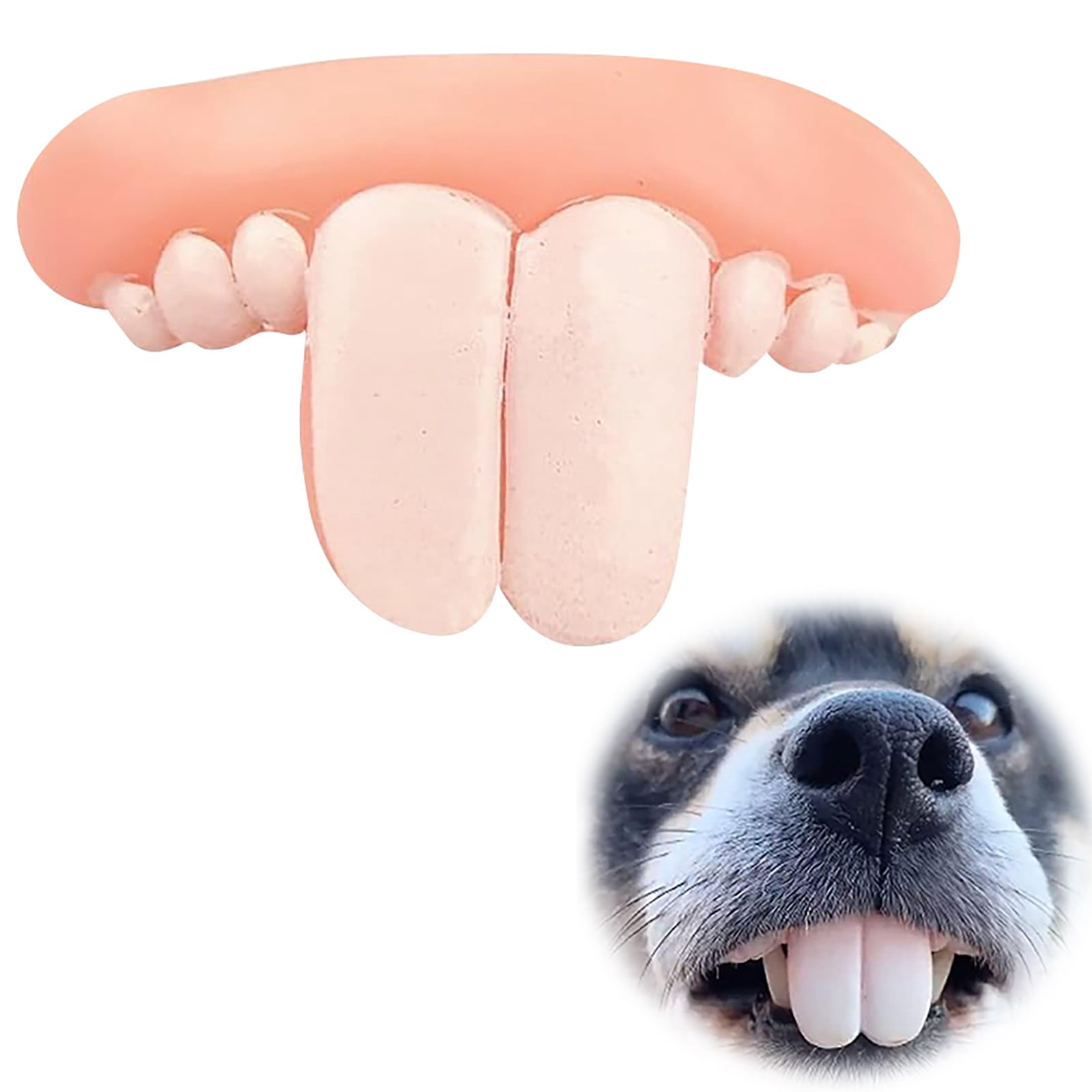 Fun Pet Dentures Toys Dog Dentures Fun Dog Braces Dog Chew Toys Suitable For Halloween Dog Toys Pet Supplies