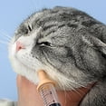 thumbnail image 4 of For Cats 12ml Cat Pet Supply Nipple Opening Feeder For Water Daily Use Post Operative Feeding Home Travel Liquid Food, 4 of 4
