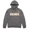 thumbnail image 1 of Vendor License Nfl Vikings Grey Hdy, 1 of 4