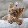 thumbnail image 2 of Rinsvye Perles et Clochettes Miniatures pour Animaux de Compagnie Chien Vache pour Chiens Chaîne pour Chien Chat Huile d'Articulation Réglable pour Chiens Chien Flash Chien, 2 of 4