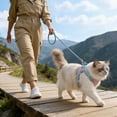 thumbnail image 3 of Escape Proof Cat Harness and Leash Set Soft Mesh Vest Adjustable Reflective Strips Safe Harness for Cat Walking and Outdoor Use, 3 of 3