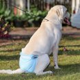 thumbnail image 3 of Amdohai Washable Wrap Diapers for Female Dogs Reusable Female Dog Diaper Breathable Female Dog Wraps,, 3 of 7
