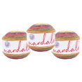 thumbnail image 1 of Lion Brand Yarn Mandala Multicolor Light DK Acrylic 3 Pack Yarn, 1 of 9