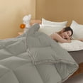 thumbnail image 1 of PRETXORVE Washable Lightweight Quilt - for AirConditioned Rooms All-Season Cool, 1 of 8