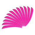 thumbnail image 1 of ZheElen 12pcs 3inch Archery Turkey Feathers Fletchings Vanes Rose Red 3 Inch 1Set, 1 of 6