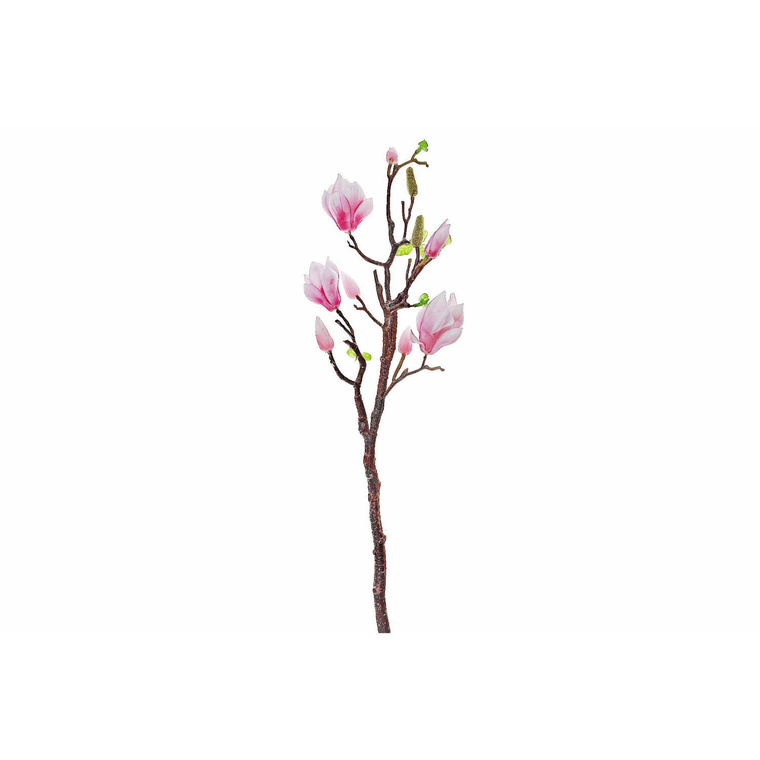 Magnolia Grand Rose En Rose