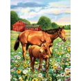 thumbnail image 2 of Royal & Langnickel(R) Small Paint By Number Kit 8.75"X11.75"-Horse In Field - PJS-81, 2 of 2