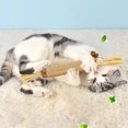 thumbnail image 5 of Chew Sticks for Feline Hygiene and Playful Entertainment, 5 of 5