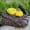 B2, variante sur Boîte de Rangement pour Clés en Pierre Camouflage Verrou Caché Résine Extérieur Jardin Cachette Décorative pour Clés Cartes Petits Objets de Valeur