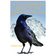 thumbnail image 1 of A Californian's Guide to the Birds among Us, 1 of 1