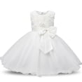 thumbnail image 1 of AAMILIFE Robe Fleur Princesse Fille Tutu Mariage Anniversaire Fête Robe Enfant Costume Enfants, 1 of 3